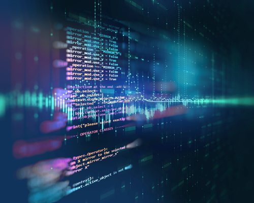 Customized Development